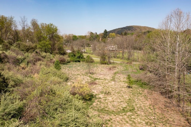 490 Old Greenville Rd, Staunton, VA 24401 - photo 25