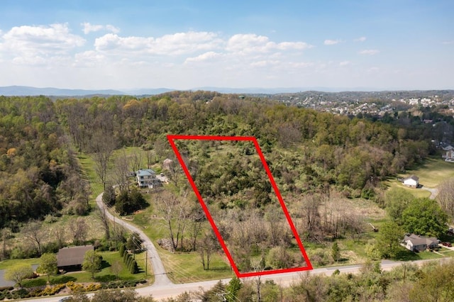490 Old Greenville Rd, Staunton, VA 24401 - photo 1