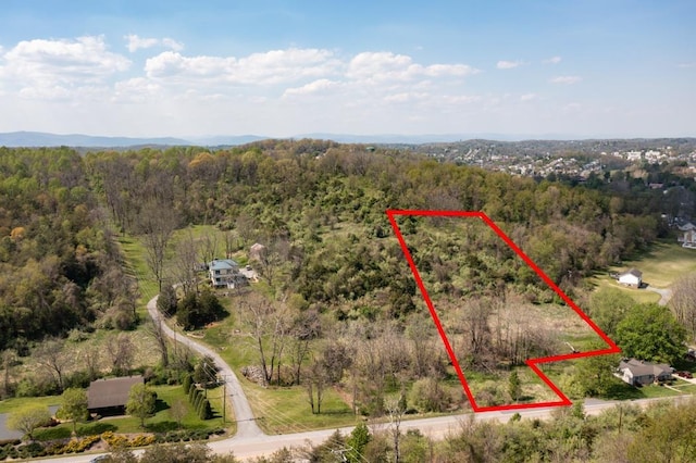 490 Old Greenville Rd, Staunton, VA 24401 - photo 68