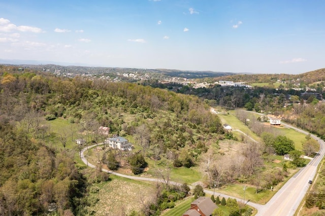 490 Old Greenville Rd, Staunton, VA 24401 - photo 14