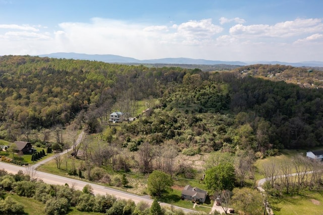 490 Old Greenville Rd, Staunton, VA 24401 - photo 8