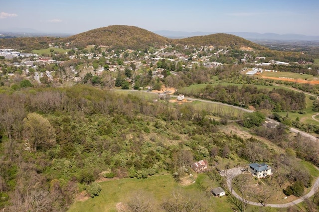 490 Old Greenville Rd, Staunton, VA 24401 - photo 41