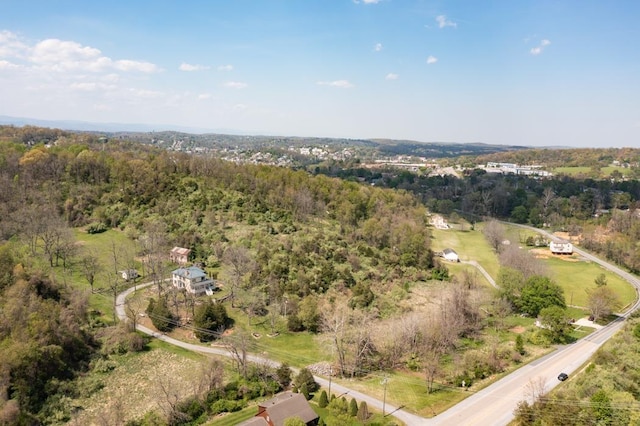 490 Old Greenville Rd, Staunton, VA 24401 - photo 13