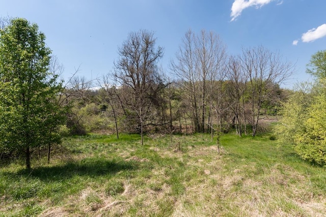490 Old Greenville Rd, Staunton, VA 24401 - photo 63