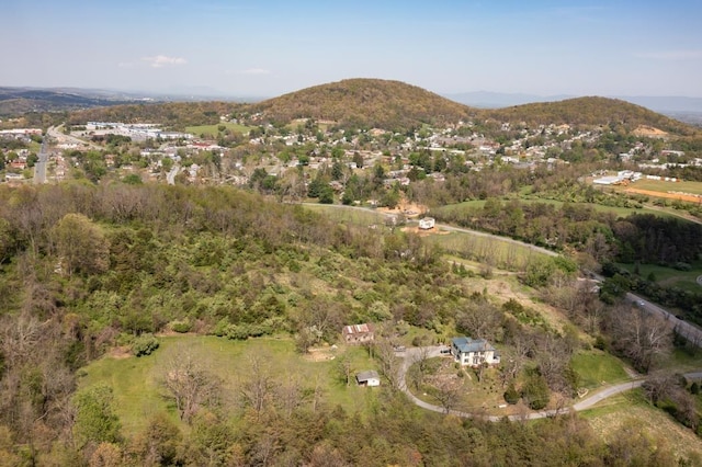 490 Old Greenville Rd, Staunton, VA 24401 - photo 43