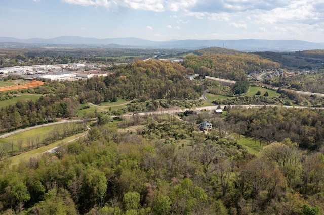 490 Old Greenville Rd, Staunton, VA 24401 - photo 32