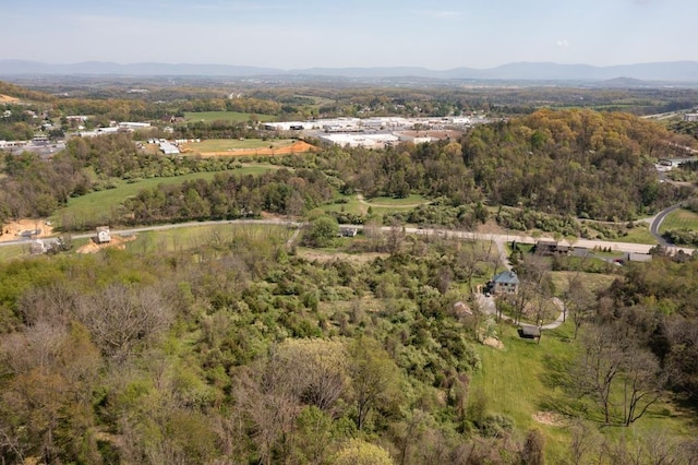 490 Old Greenville Rd, Staunton, VA 24401 - photo 36