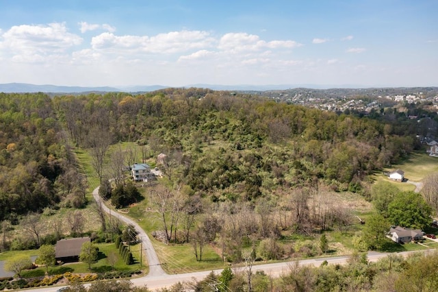 490 Old Greenville Rd, Staunton, VA 24401 - photo 2