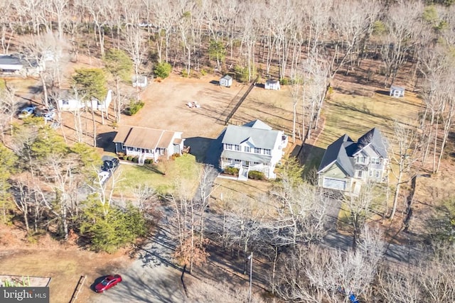 drone / aerial view
