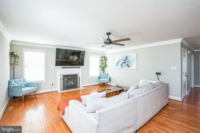 living area featuring a fireplace with flush hearth, crown molding, ceiling fan, and hardwood / wood-style floors