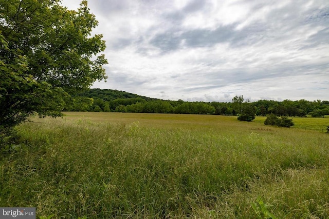 501 Fork Rd S, Luray, VA 22835 - photo 56