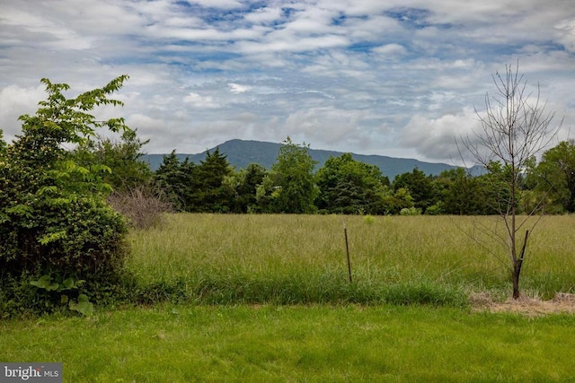 501 Fork Rd S, Luray, VA 22835 - photo 51