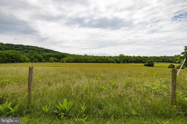 501 Fork Rd S, Luray, VA 22835 - photo 47