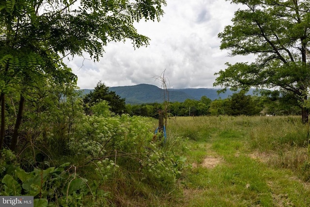 501 Fork Rd S, Luray, VA 22835 - photo 54