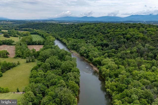 501 Fork Rd S, Luray, VA 22835 - photo 68