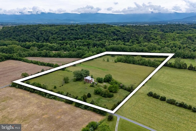 501 Fork Rd S, Luray, VA 22835 - photo 74