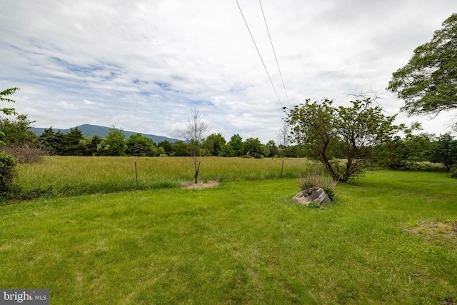 501 Fork Rd S, Luray, VA 22835 - photo 48