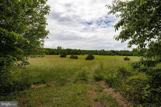 501 Fork Rd S, Luray, VA 22835 - photo 55