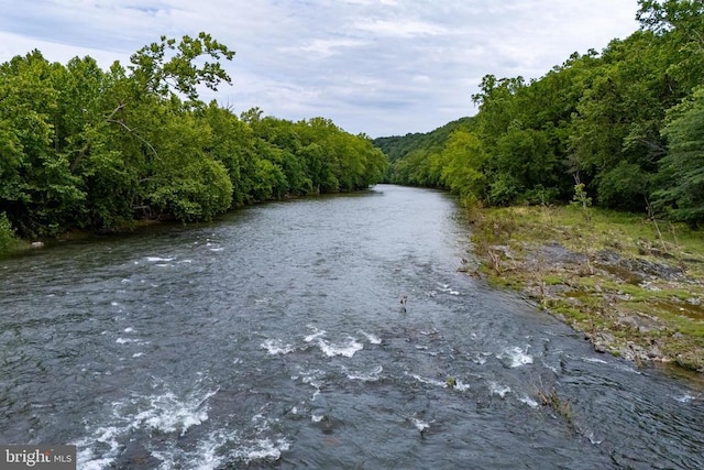 501 Fork Rd S, Luray, VA 22835 - photo 70