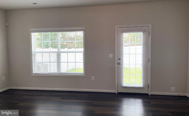 12112 Bowling Farm Ct, Fredericksburg, VA 22407 - entryway with plenty of natural light and dark wood-style flooring