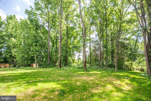 Pine Harbour Dr, Mineral, VA 23117 - view of green lawn