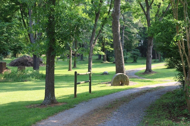 581 Oak Grove Church Rd, Waynesboro, VA 22980 - view of home's community featuring a yard and driveway