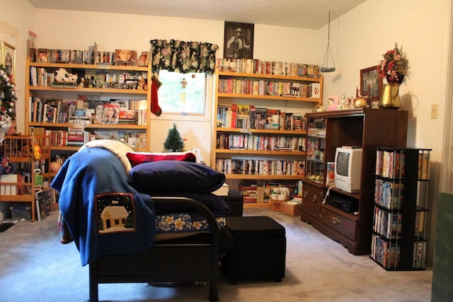 581 Oak Grove Church Rd, Waynesboro, VA 22980 - sitting room with carpet flooring