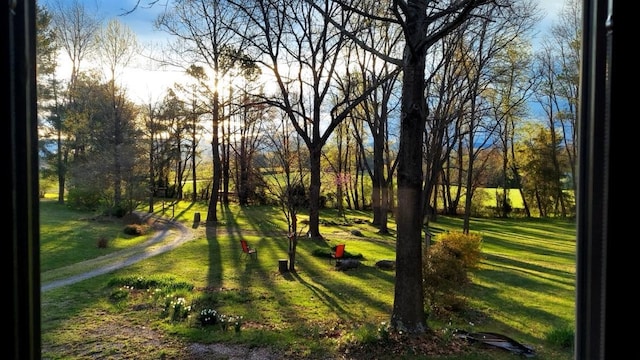 581 Oak Grove Church Rd, Waynesboro, VA 22980 - view of property's community with a lawn