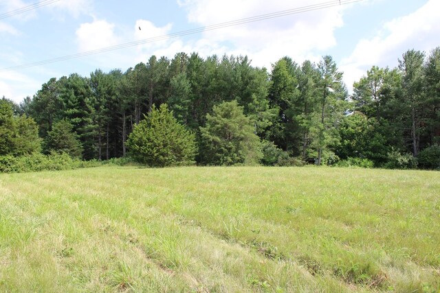 581 Oak Grove Church Rd, Waynesboro, VA 22980 - photo 17