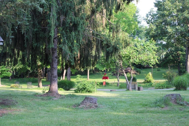 581 Oak Grove Church Rd, Waynesboro, VA 22980 - view of home's community with a yard