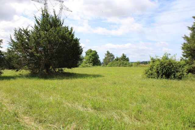 581 Oak Grove Church Rd, Waynesboro, VA 22980 - photo 16