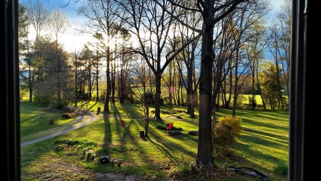 581 Oak Grove Church Rd, Waynesboro, VA 22980 - photo 11