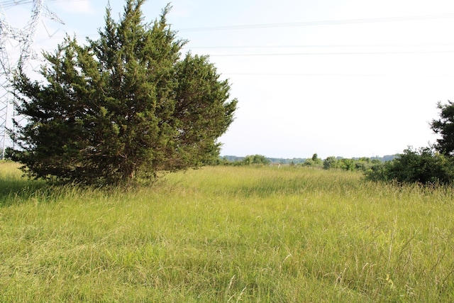 581 Oak Grove Church Rd, Waynesboro, VA 22980 - view of local wilderness