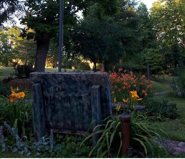 581 Oak Grove Church Rd, Waynesboro, VA 22980 - view of yard