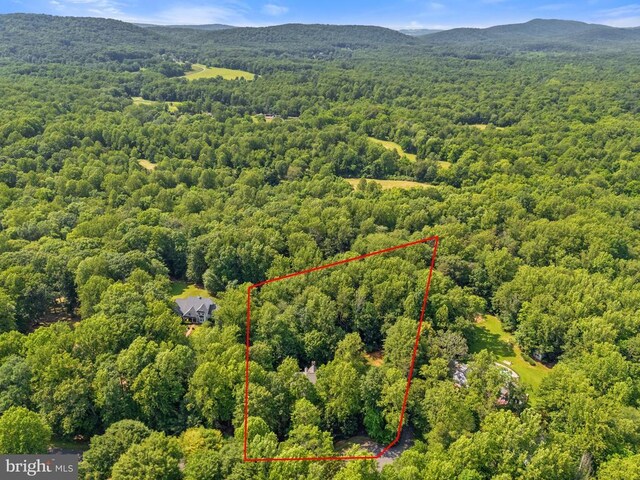  - aerial overview of property's location with a heavily wooded area, property parcel outlined, and a mountain backdrop