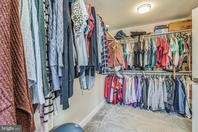 1909 Artillery Ridge Rd, Fredericksburg, VA 22408 - walk in closet with carpet