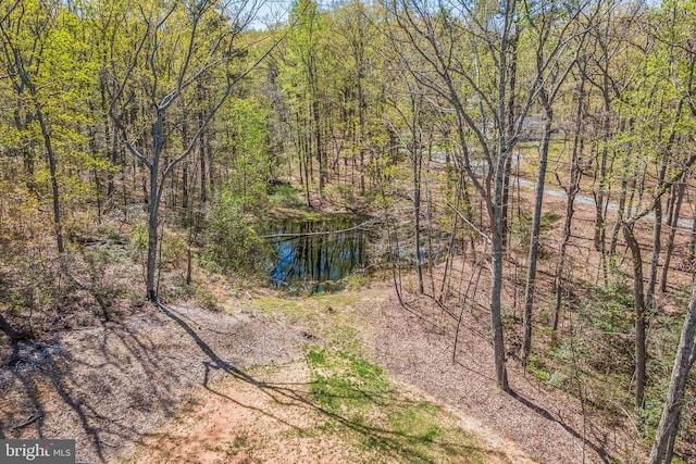 1909 Artillery Ridge Rd, Fredericksburg, VA 22408 - water view with a forest