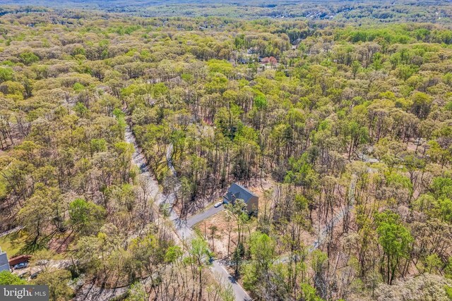 1909 Artillery Ridge Rd, Fredericksburg, VA 22408 - aerial view of a heavily wooded area