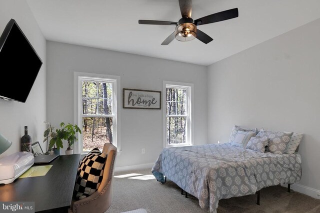 1909 Artillery Ridge Rd, Fredericksburg, VA 22408 - carpeted bedroom with multiple windows, baseboards, and a ceiling fan