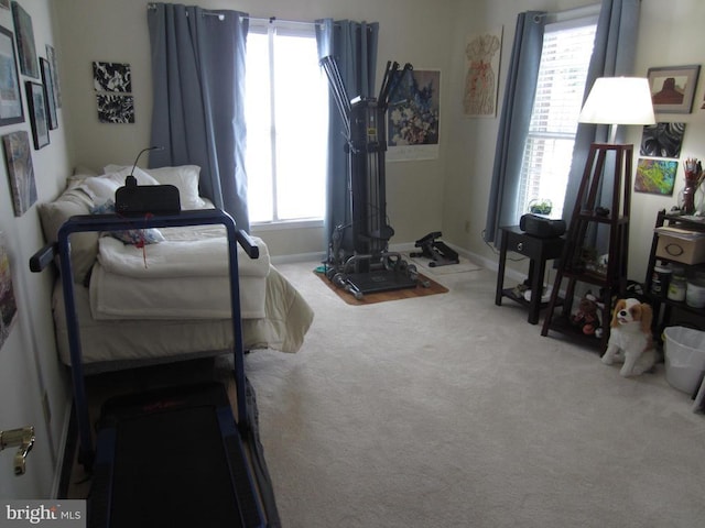 11200 Scottwood Ln N, Fredericksburg, VA 22407 - bedroom featuring carpet flooring and baseboards