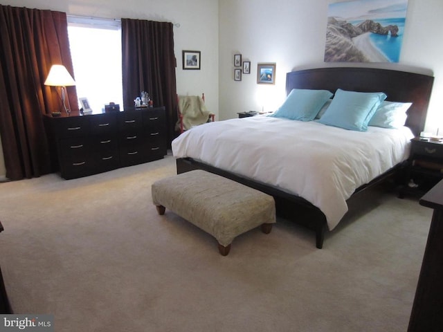 11200 Scottwood Ln N, Fredericksburg, VA 22407 - bedroom with light carpet