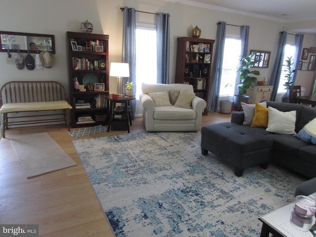 11200 Scottwood Ln N, Fredericksburg, VA 22407 - living room with plenty of natural light, wood finished floors, and crown molding