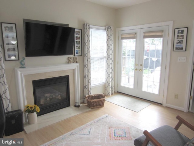 11200 Scottwood Ln N, Fredericksburg, VA 22407 - living area featuring french doors, wood finished floors, and a fireplace