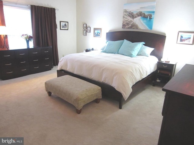 11200 Scottwood Ln N, Fredericksburg, VA 22407 - bedroom featuring light carpet
