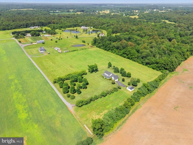  - overview of rural landscape featuring a forest and a large body of water