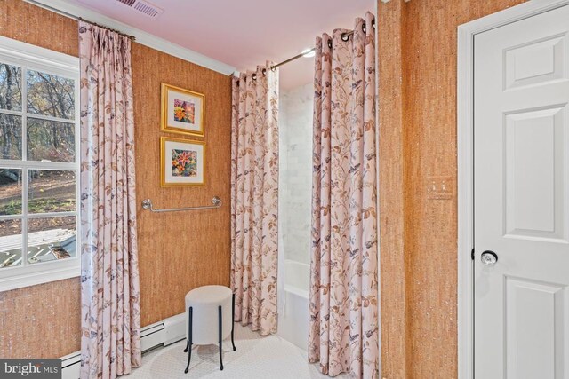 1126 F T Valley Rd, Sperryville, VA 22740 - full bath with shower / tub combo
