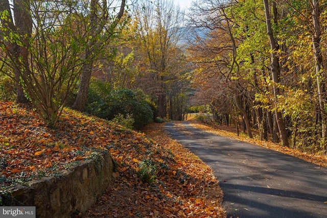 1126 F T Valley Rd, Sperryville, VA 22740 - view of road featuring a wooded view