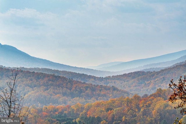 1126 F T Valley Rd, Sperryville, VA 22740 - view of mountain backdrop featuring a heavily wooded area