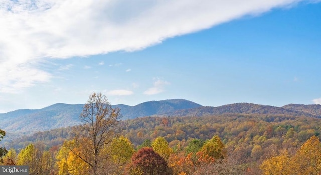 1126 F T Valley Rd, Sperryville, VA 22740 - view of mountain backdrop with a forest