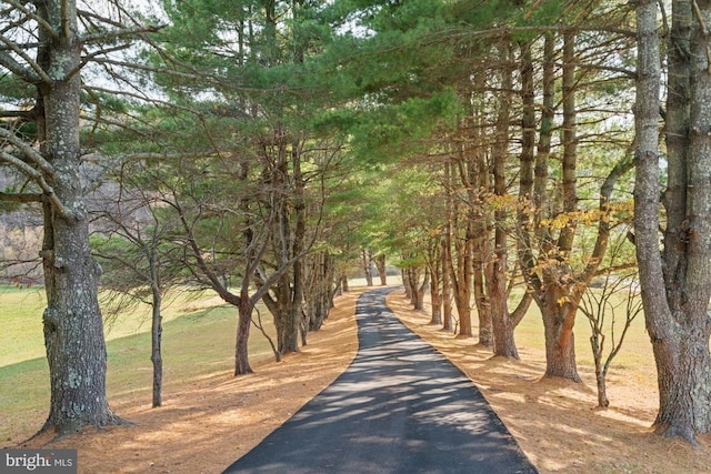 1126 F T Valley Rd, Sperryville, VA 22740 - view of community